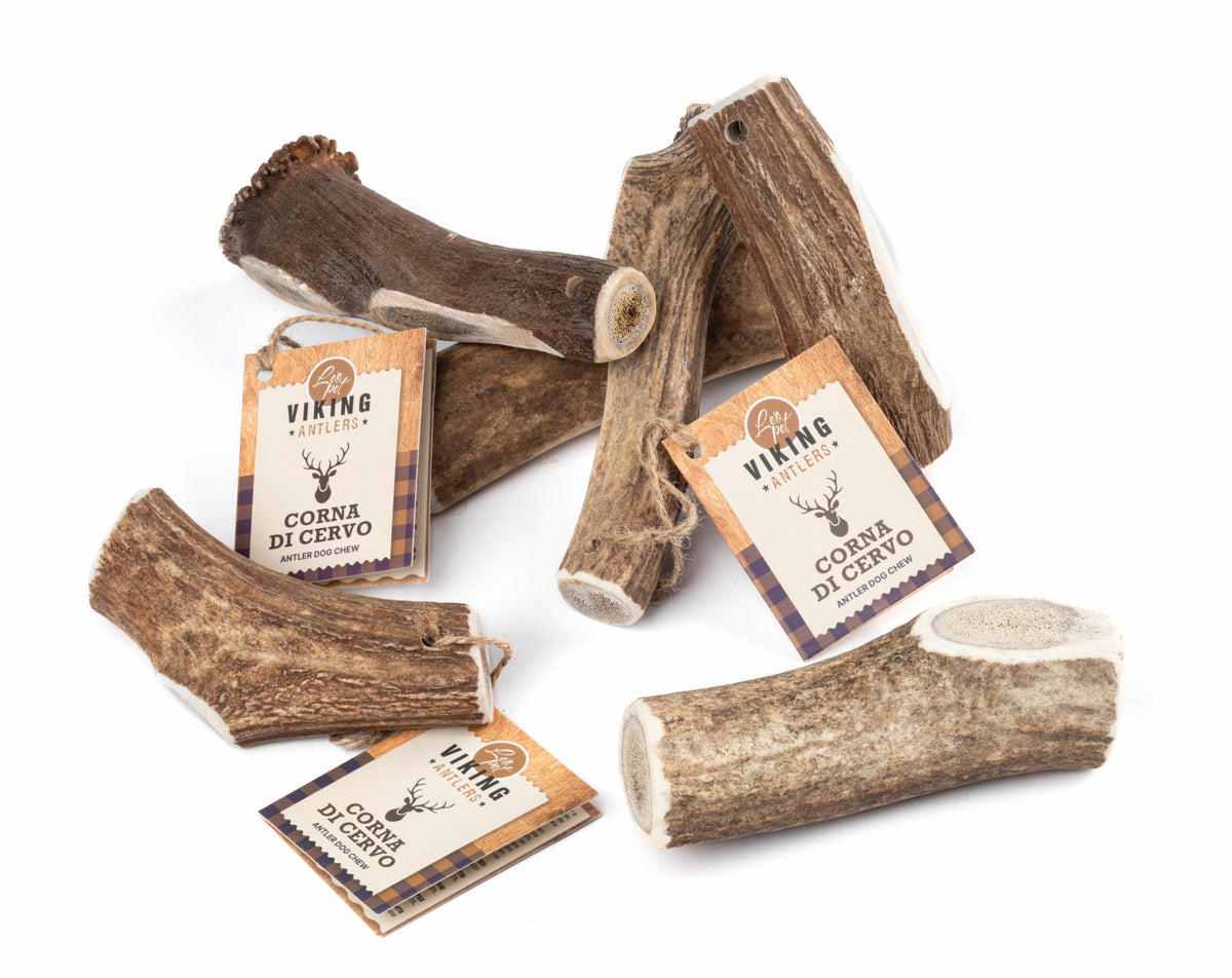 Leopet Coarne Naturale de Cerb pentru Caini