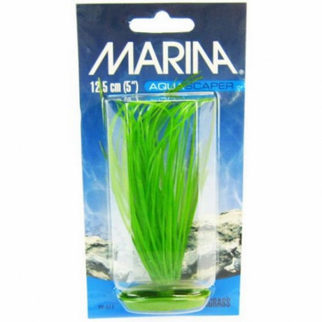 Marina Planta Hairgrass