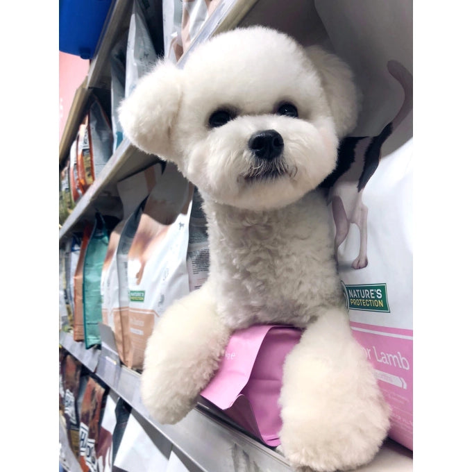 Nature's Protection Dog Junior Lamb