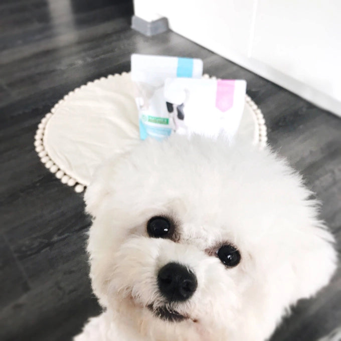 Nature's Protection Dog Junior All Breed Poultry