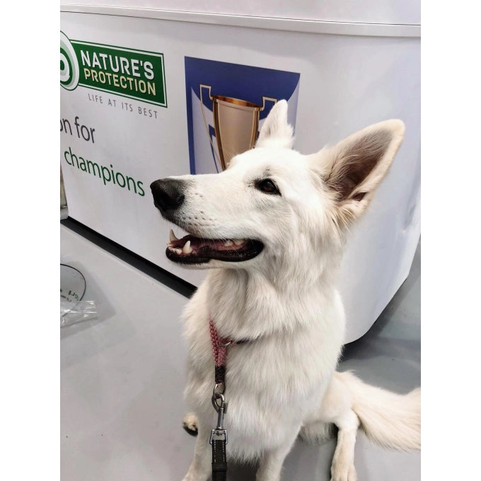 Nature's Protection Dog Maxi Adult