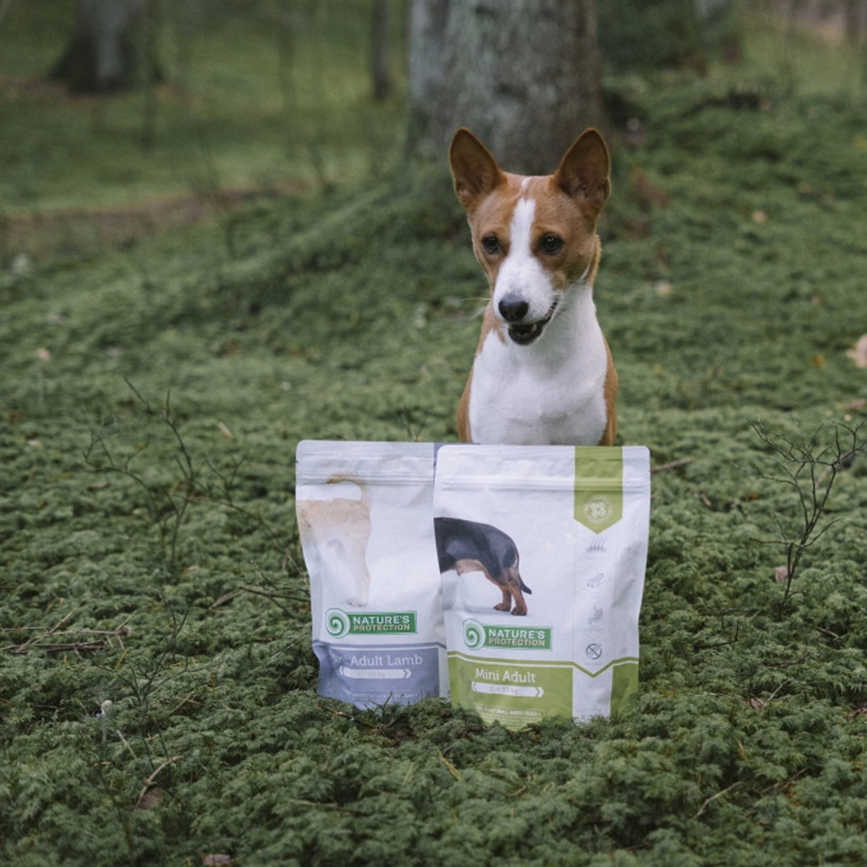 Nature's Protection Nature's Protection Dog Mini Adult Poultry - imagine 3