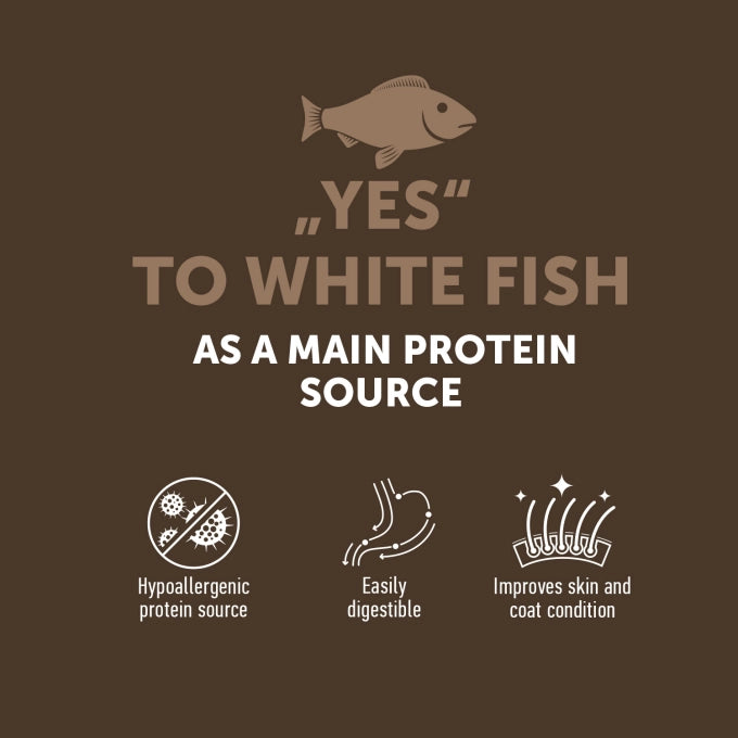 Nature's Protection Lifestyle Grain Free Adult Cat White Fish
