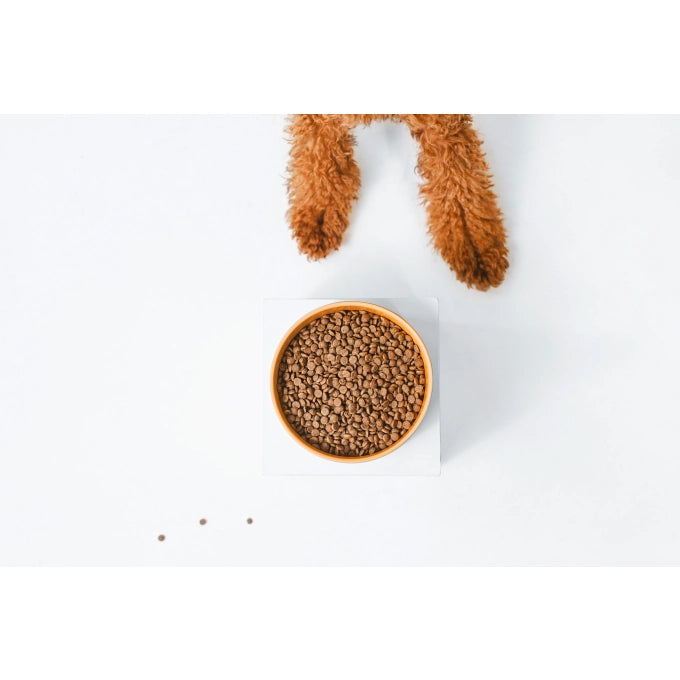 Superior Care Red Coat Grain Free Salmon Adult Smalll&Mini Breeds