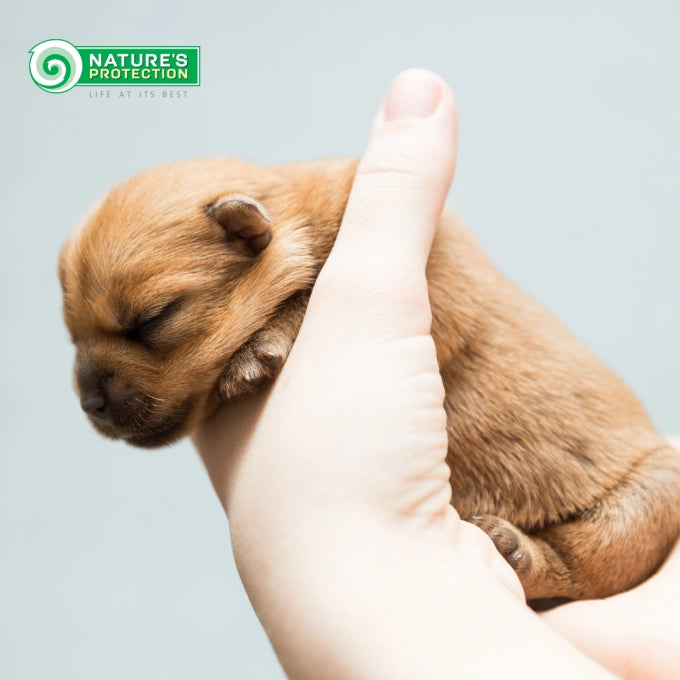 Nature's Protetion Dog Puppy Starter Salmon&Krill