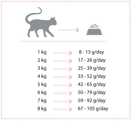 Nature's Protection Cat Long Hair