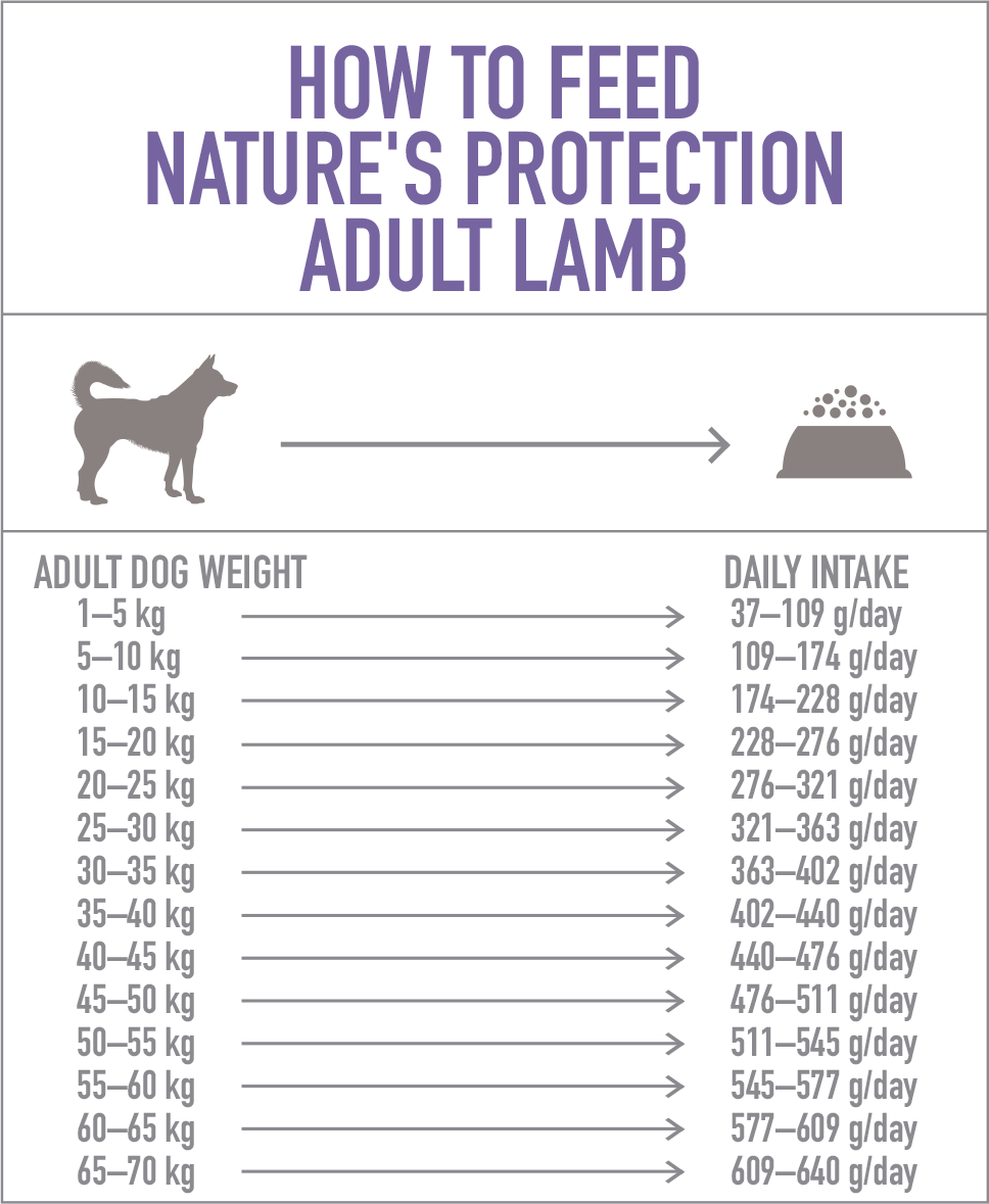 Nature's Protection Dog Adult Lamb