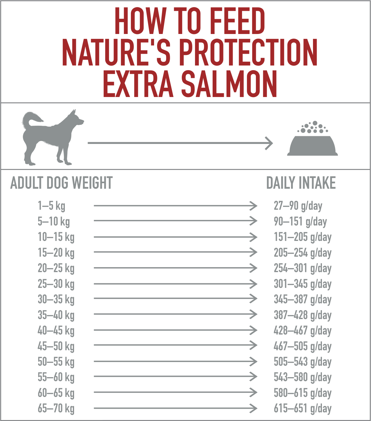Nature's Protection Dog Extra Salmon