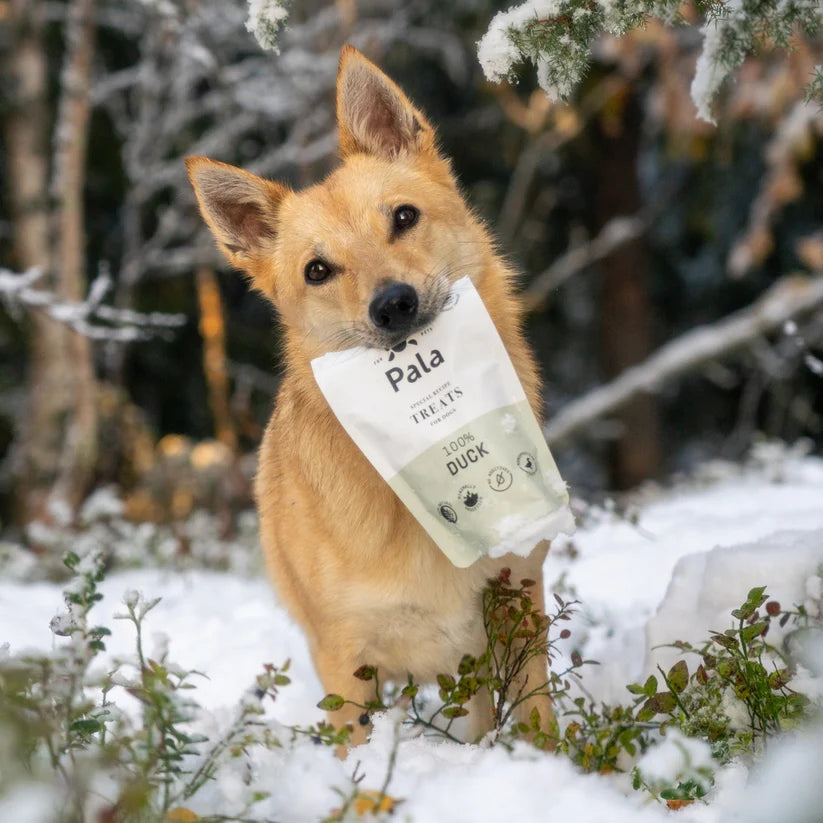 Pala Recompense Raw Monoproteice cu Rata pentru Caini 100 Gr