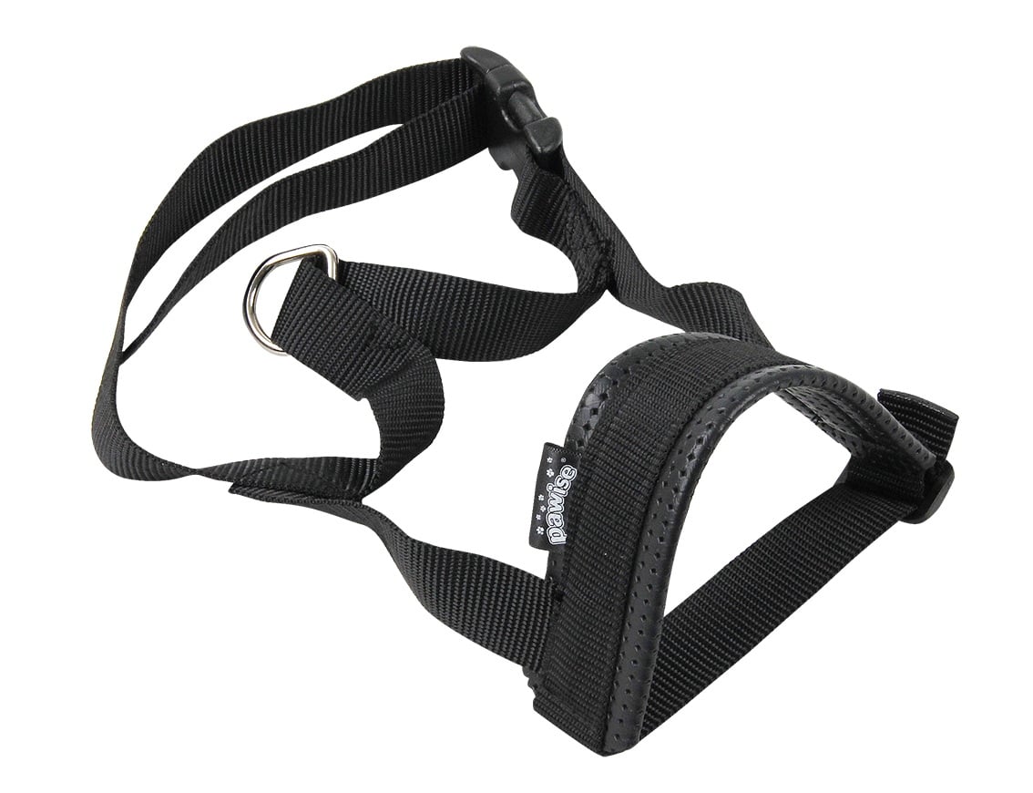 Pawise Botnita Captusita