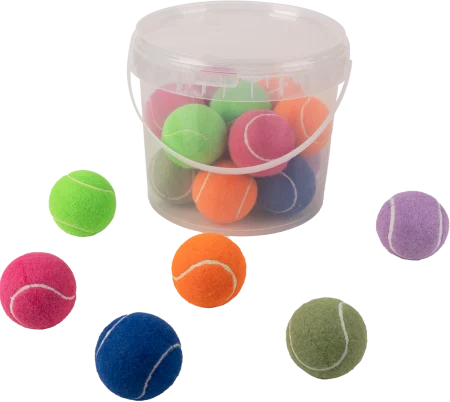 Pawise Pawise Hard Tennis Ball Set 20 Buc