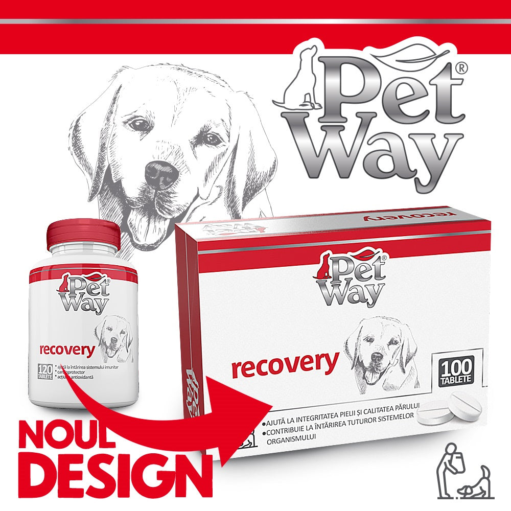 Petway Recovery - 100 Tablete
