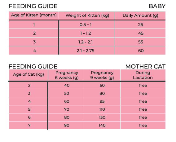 Pro Science Mother&Baby Cat cu Somon