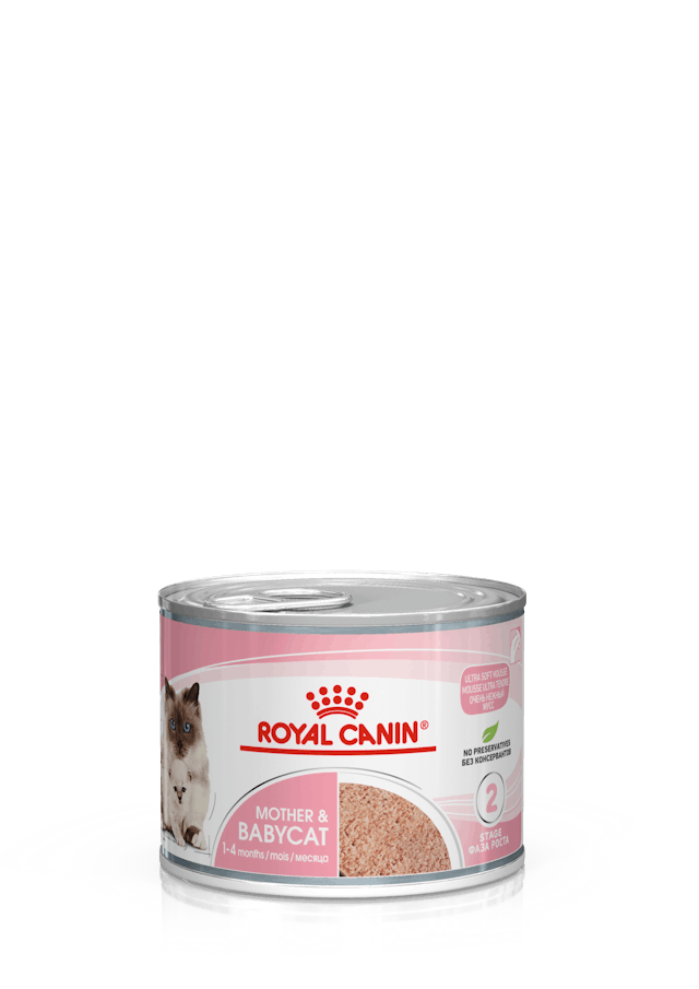 Royal Canin Royal Canin Babycat&Mother Mousse Conserva - imagine 1