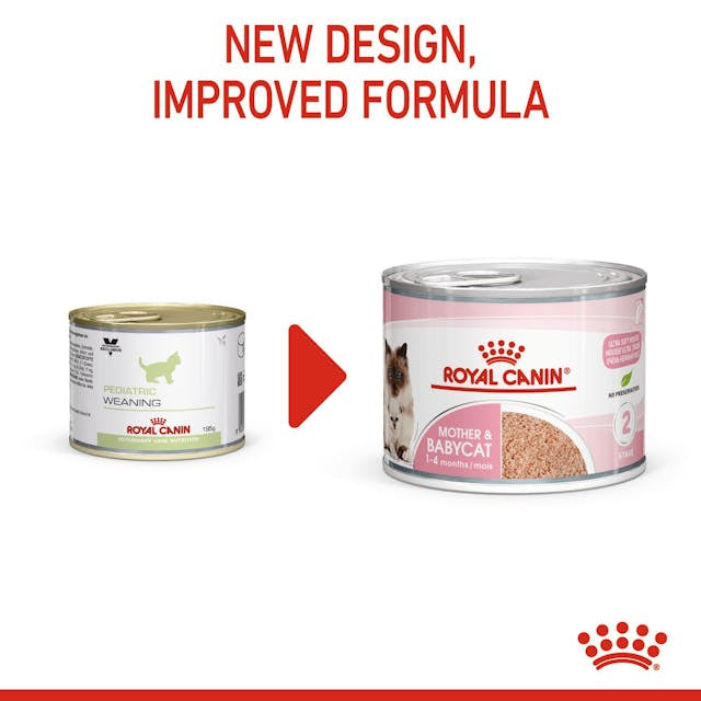 Royal Canin Royal Canin Babycat&Mother Mousse Conserva - imagine 2