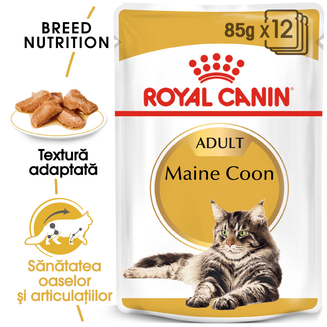 Royal Canin Royal Canin Maine Coon Adult Plic 85 G - imagine 1