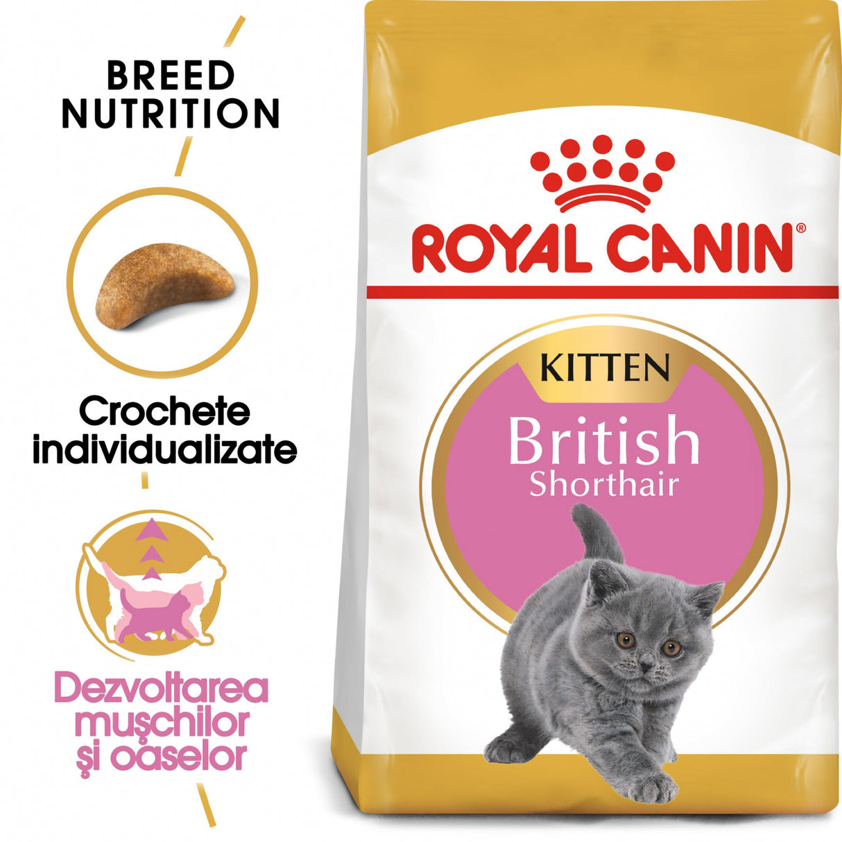 Royal Canin Royal Canin British Shorthair Kitten - imagine 2
