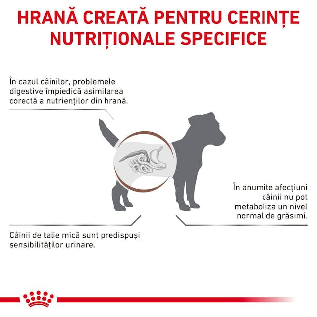 Royal Canin Royal Canin Gastro Intestinal Low Fat S Dog - imagine 2