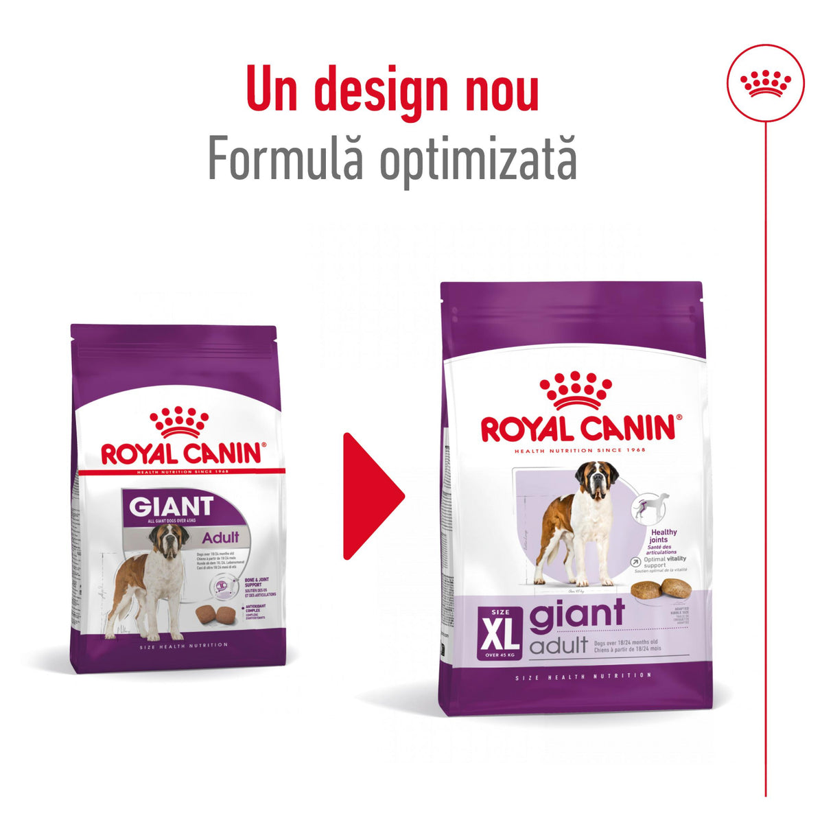 Royal Canin Royal Canin Giant Adult - imagine 3