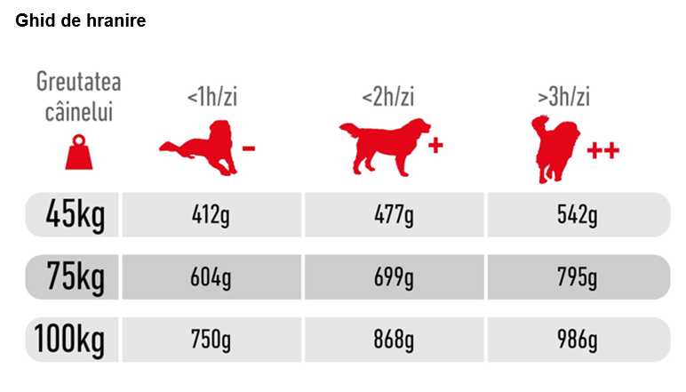Royal Canin Giant Adult