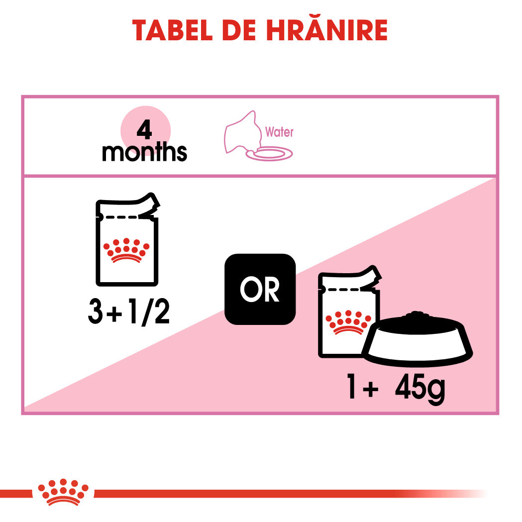 Royal Canin Kitten In Jelly Plic 85 G