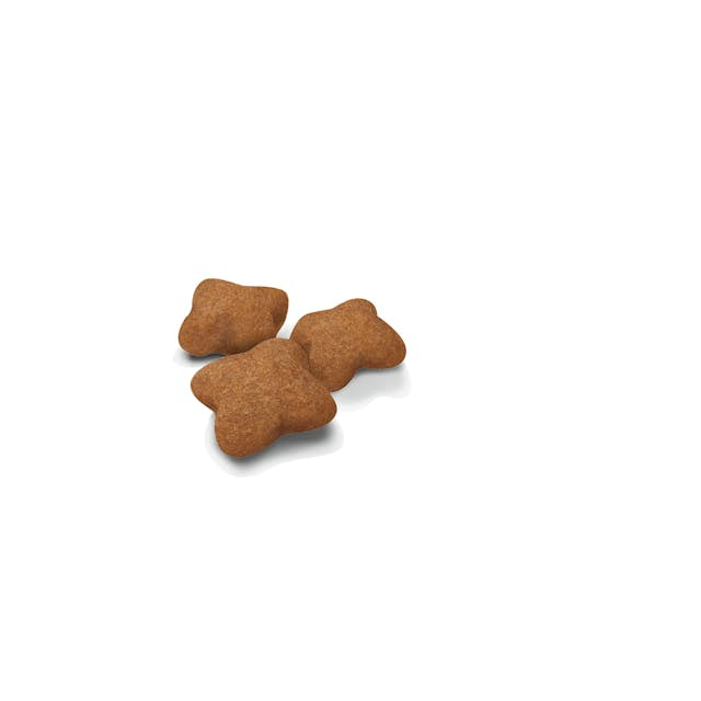 Royal Canin Royal Canin Kitten Sterilised - imagine 2