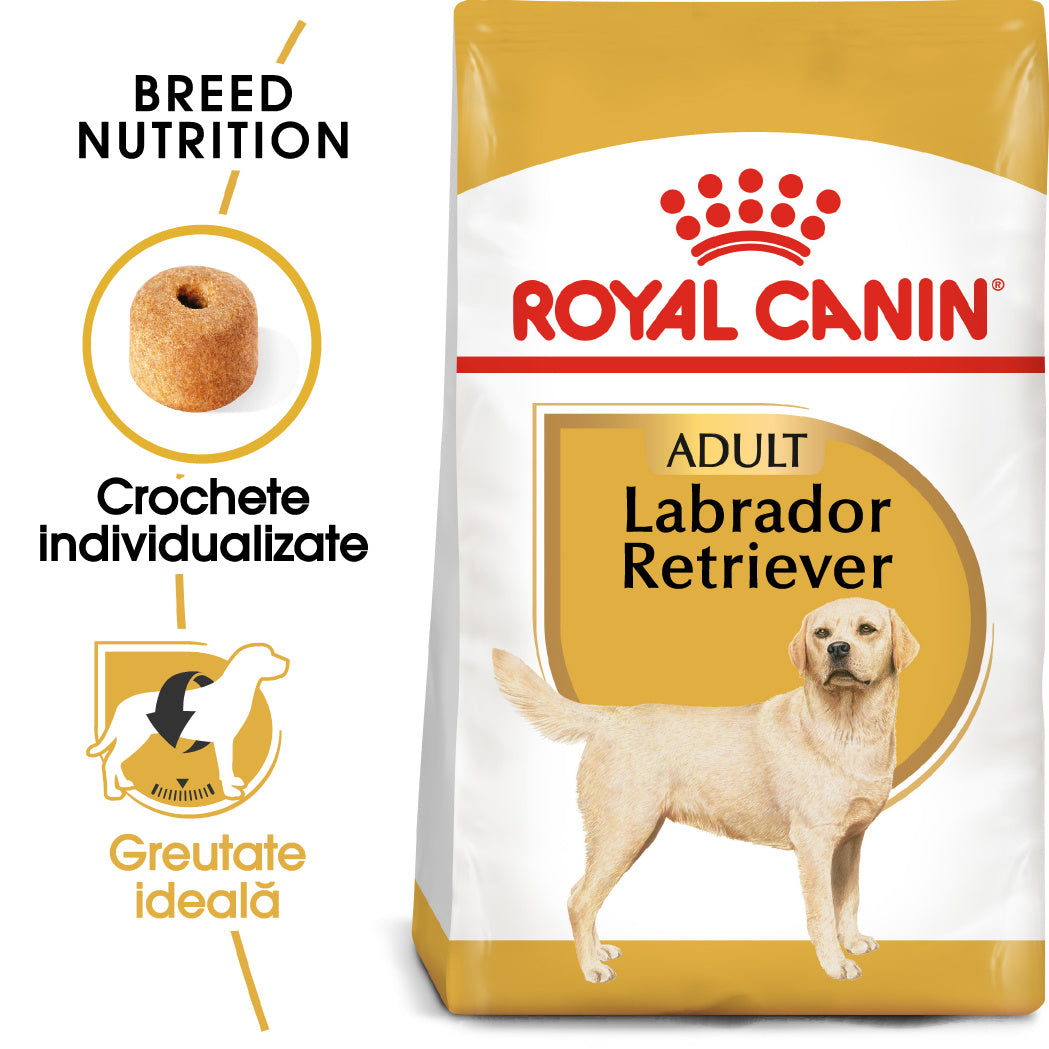 Royal Canin Royal Canin Labrador Retriever Adult - imagine 2