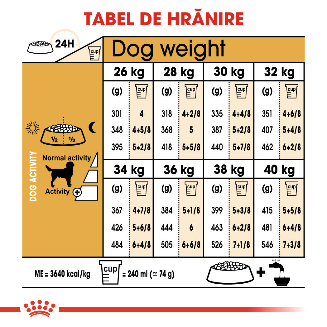 Royal Canin Labrador Retriever Adult
