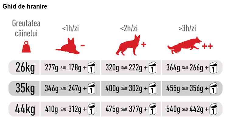 Royal Canin Maxi Adult 5+
