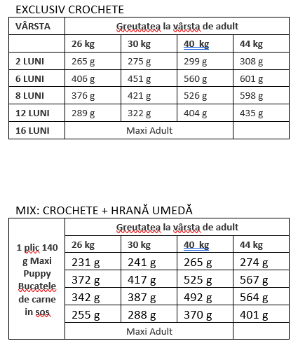 Royal Canin Maxi Puppy
