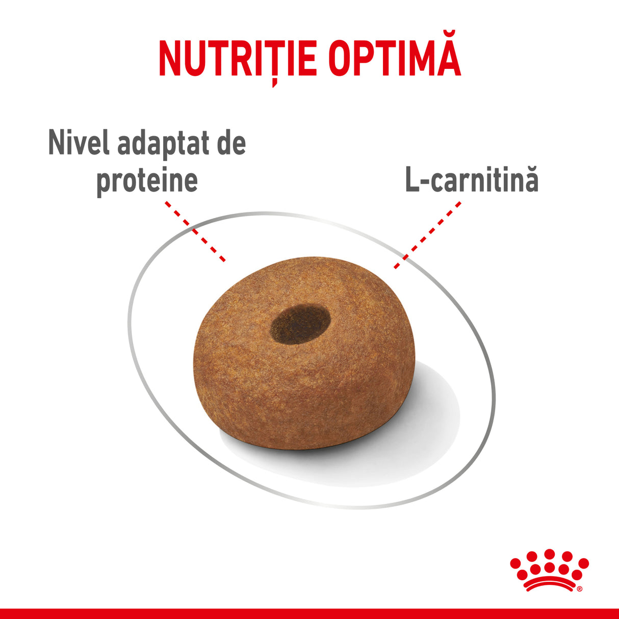 Royal Canin Royal Canin Maxi Light Weight Care - imagine 3