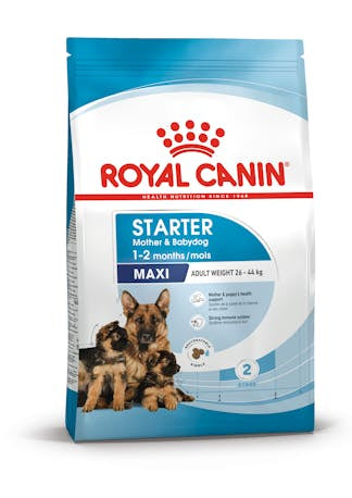 Royal Canin Royal Canin Maxi Starter