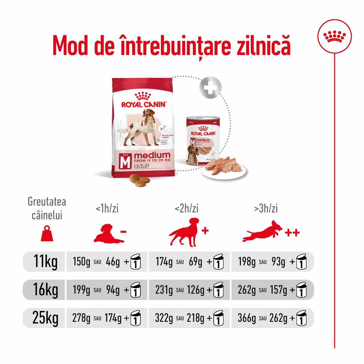 Royal Canin Royal Canin Medium Adult - imagine 3
