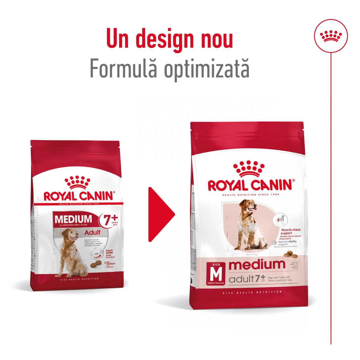 Royal Canin Royal Canin Medium Adult 7+ - imagine 3