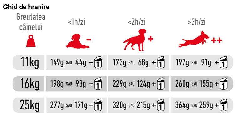 Royal Canin Medium Adult 7+