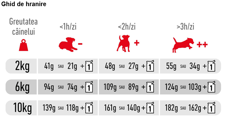 Royal Canin Mini Ageing 12+