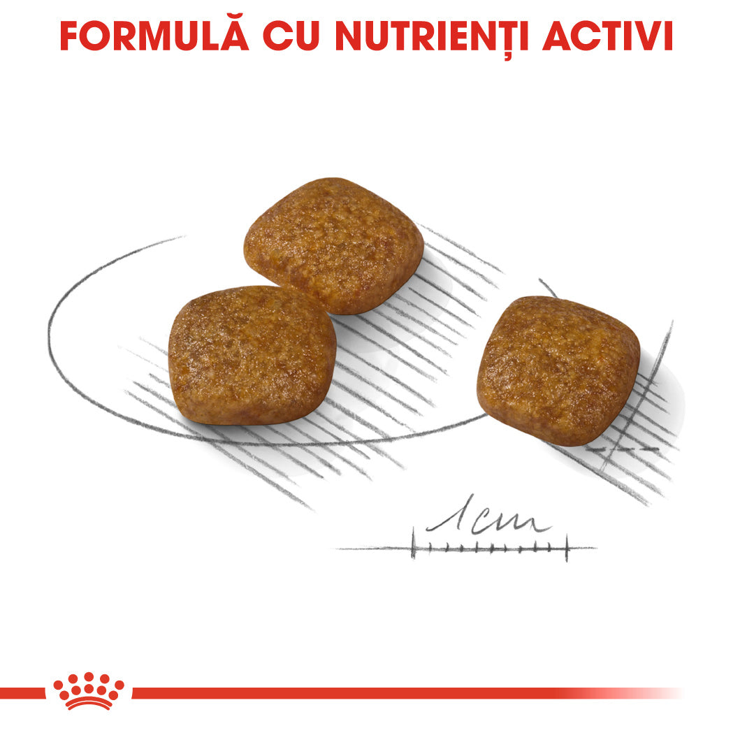 Royal Canin Royal Canin Mini Urinary Care - imagine 3
