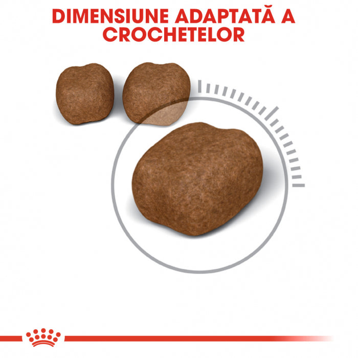 Royal Canin Royal Canin Dental Care - imagine 2