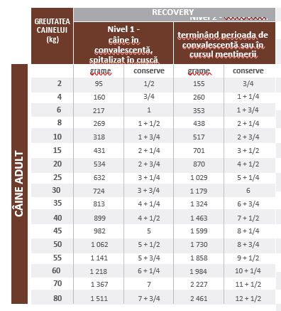 Royal Canin Recovery Dog&Cat Conserva