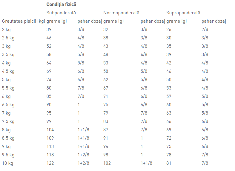 Royal Canin Renal Cat