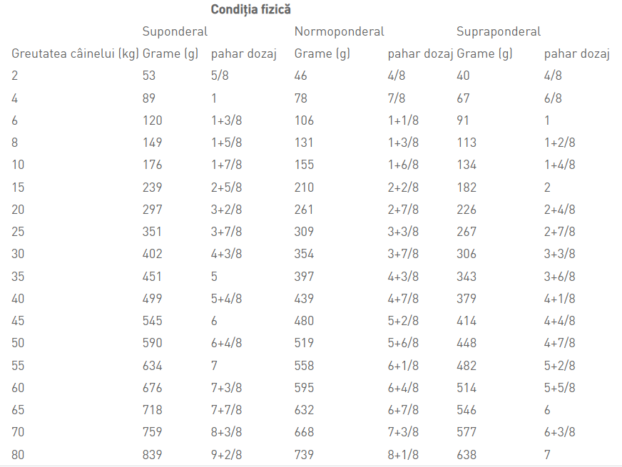 Royal Canin Renal Dog