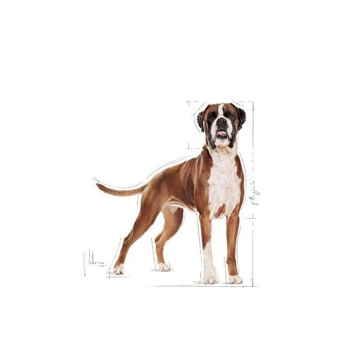 Royal Canin Royal Canin Boxer Adult - imagine 3