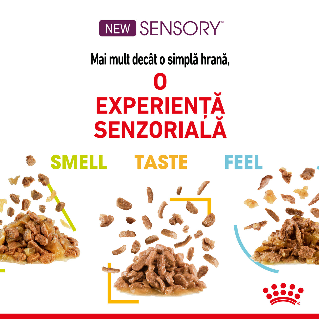 Royal Canin Royal Canin Sensory Mix Plic in Sos 12x 85 Gr - imagine 3