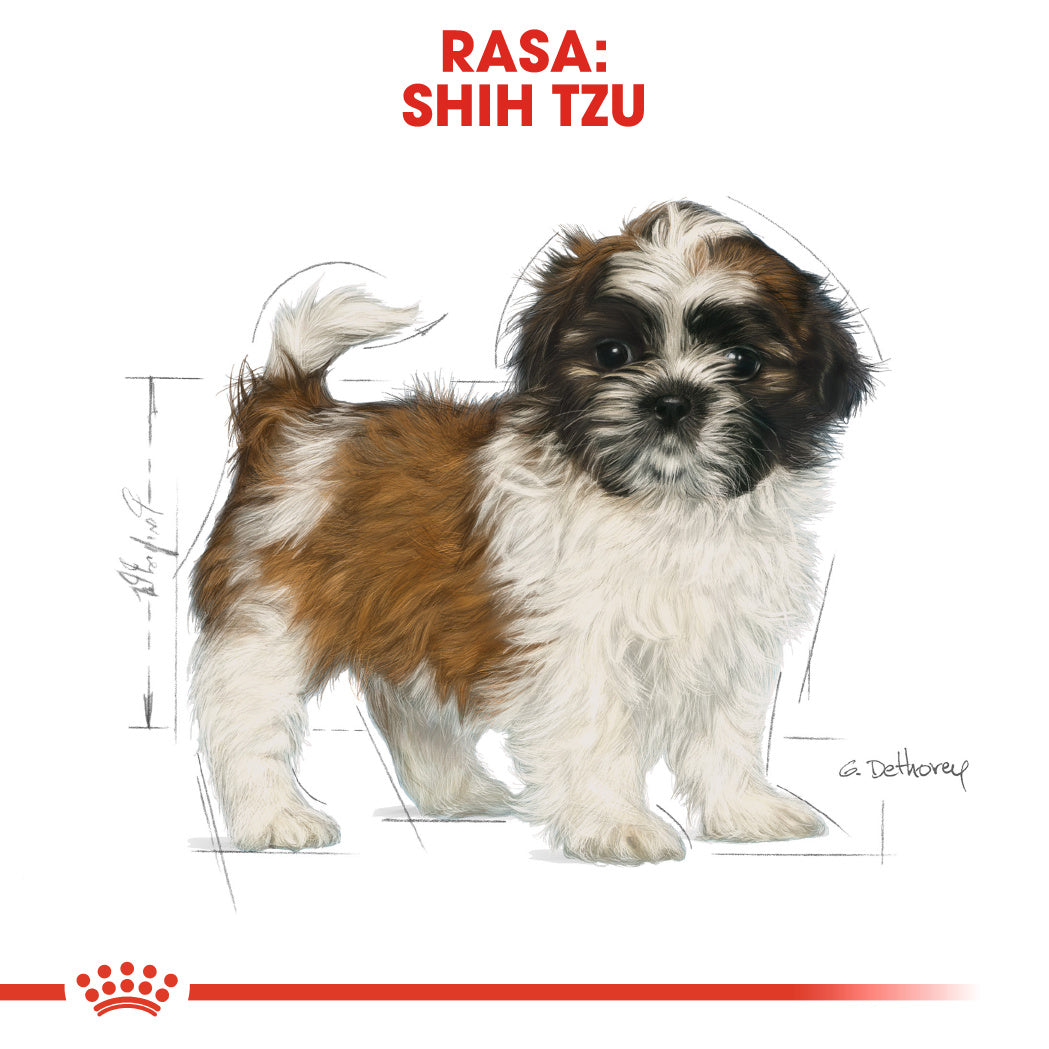 Royal Canin Royal Canin Shih Tzu Puppy - imagine 3