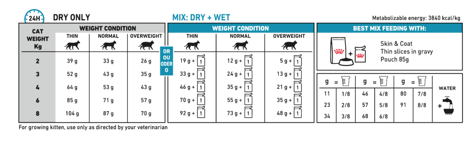 Royal Canin Skin & Coat Cat