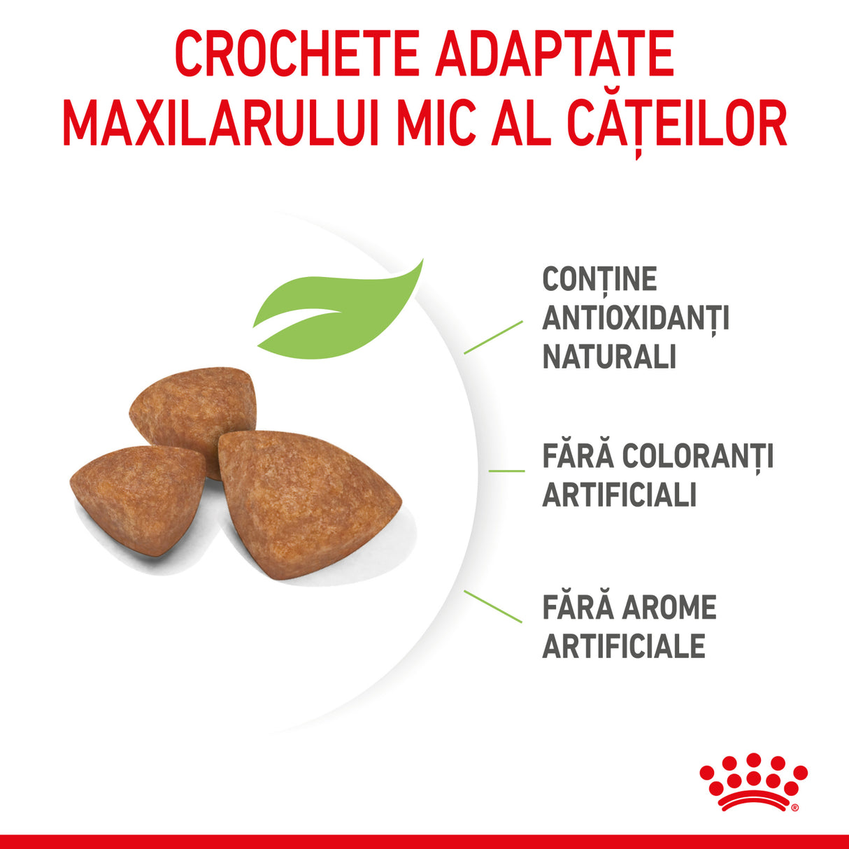 Royal Canin Royal Canin X-Small Puppy - imagine 3