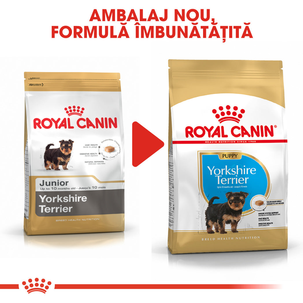 Royal Canin Royal Canin Yorkshire Terrier Junior - imagine 3