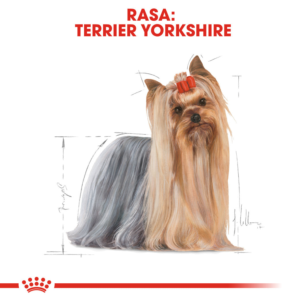 Royal Canin Royal Canin Yorkshire Terrier Plic 85 G - imagine 3