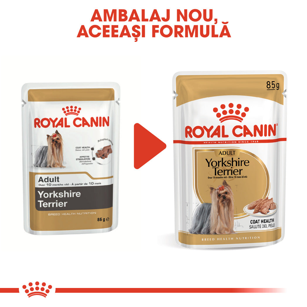 Royal Canin Royal Canin Yorkshire Terrier Plic 85 G - imagine 2