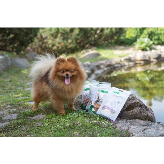 Superior Care Snack Rabbit Hearts 75G